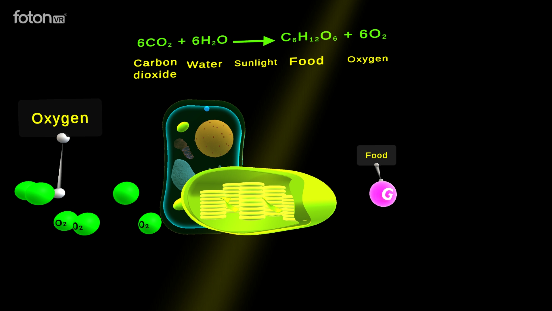 Photosynthesis chemical equation lesson in VR